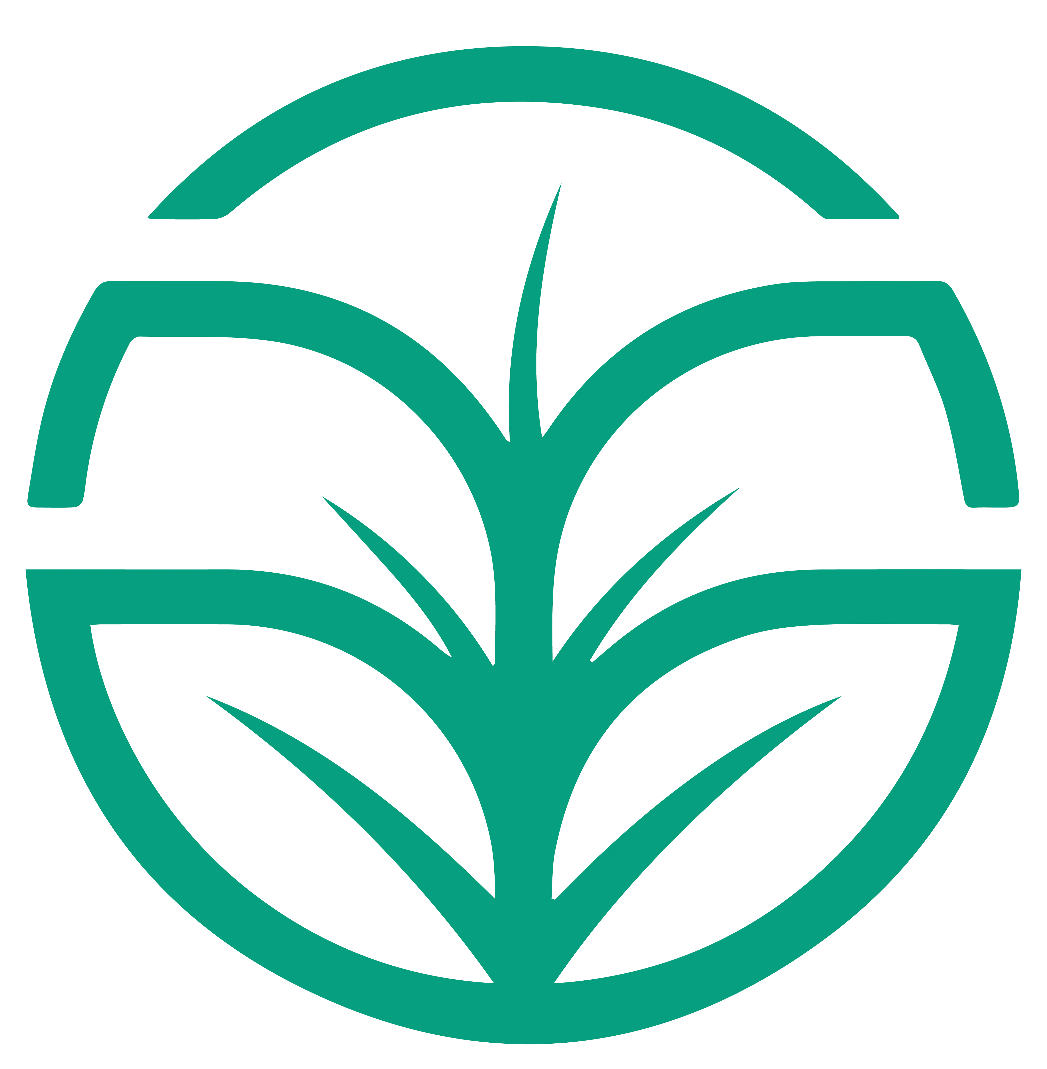 Lima Biji Agritech — specialty enzymatic civet coffee